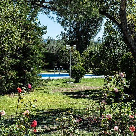 Terre Etrusche Guest House-Terme -3 Minuti Da Viterbo Centro Eksteriør billede