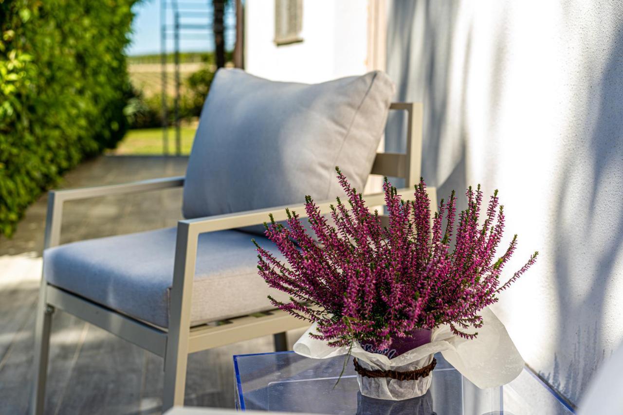 Terre Etrusche Guest House-Terme -3 Minuti Da Viterbo Centro Eksteriør billede