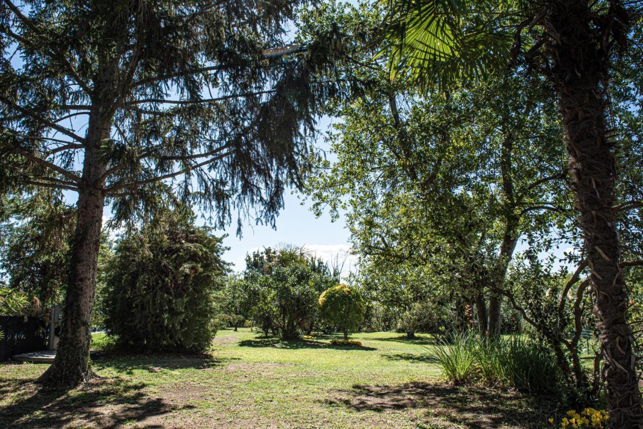 Terre Etrusche Guest House-Terme -3 Minuti Da Viterbo Centro Eksteriør billede