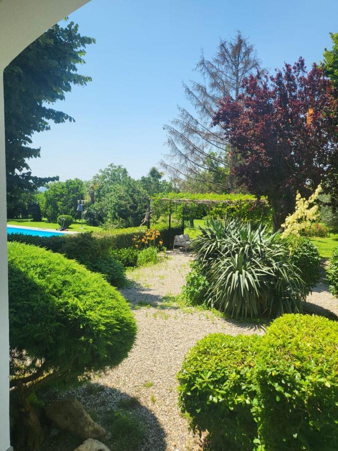 Terre Etrusche Guest House-Terme -3 Minuti Da Viterbo Centro Eksteriør billede