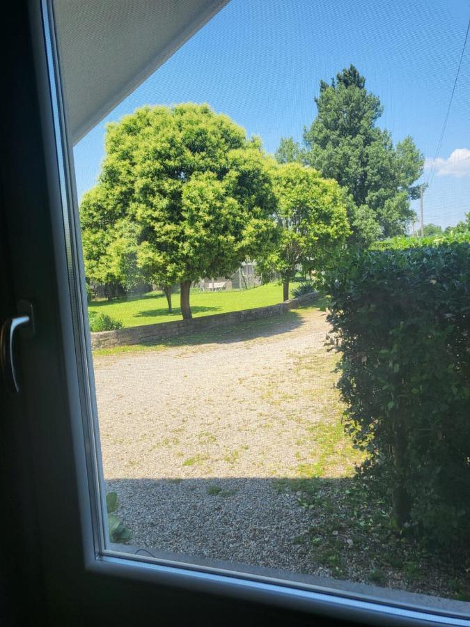 Terre Etrusche Guest House-Terme -3 Minuti Da Viterbo Centro Eksteriør billede