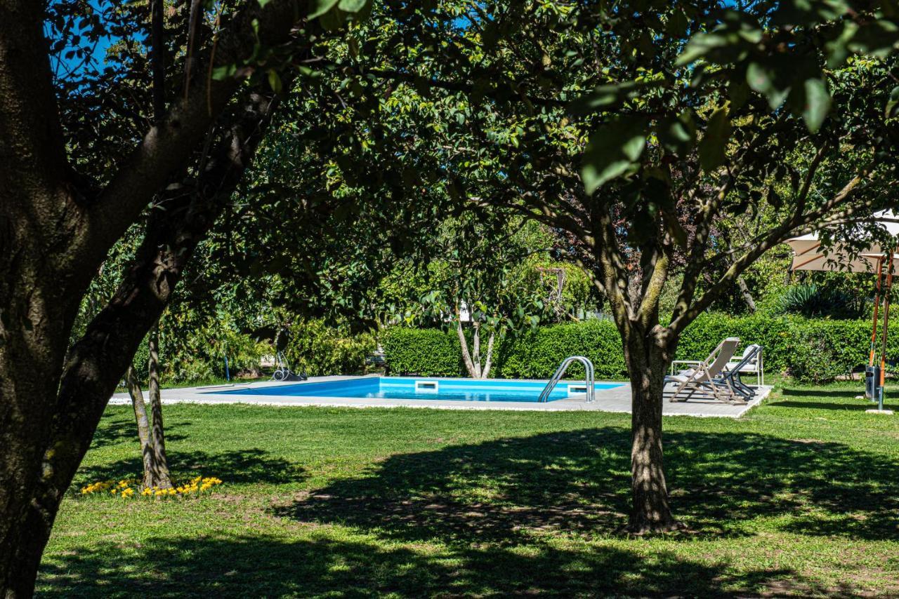 Terre Etrusche Guest House-Terme -3 Minuti Da Viterbo Centro Eksteriør billede
